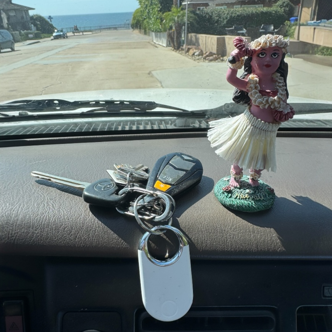 Ezy Ring Tag (iOS ONLY)